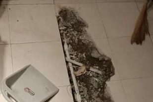 扎兰屯卫生间漏水检测电话